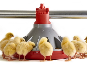 CHORE-TIME® KONAVI® Feeding System