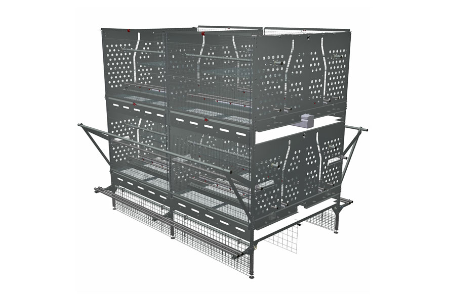 Pullet Rearing System